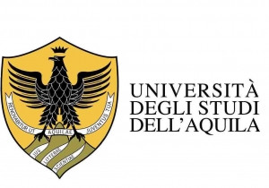 Università 7