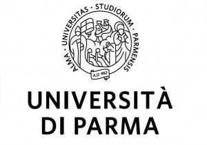 Università 8